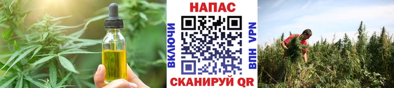 где найти наркотики  Елизово  Печенье с ТГК конопля 