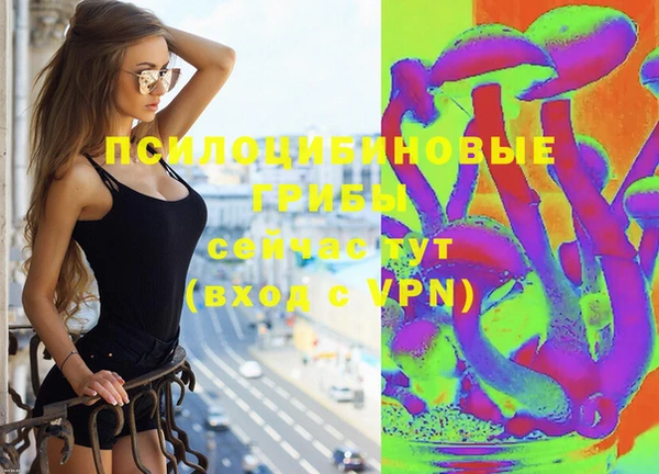 гашик Медвежьегорск
