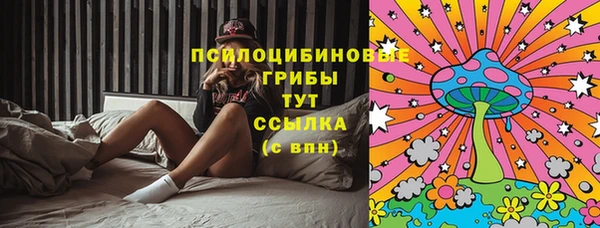 гашик Медвежьегорск
