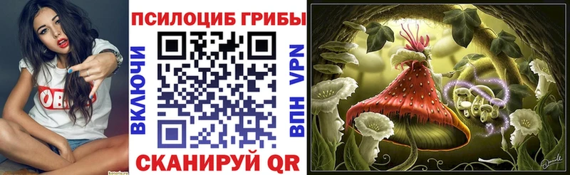 хочу наркоту  Елизово  shop клад  Галлюциногенные грибы Psilocybe 