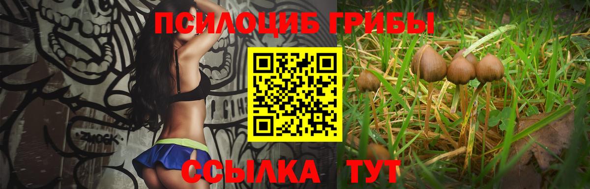 Псилоцибиновые грибы GOLDEN TEACHER Елизово