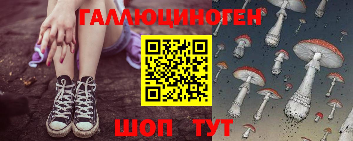 Галлюциногенные грибы Magic Shrooms  Псилоцибиновые грибы мицелий  Вход с VPN  Елизово 