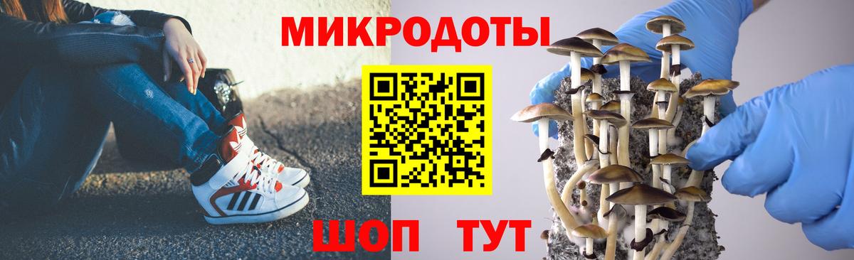 Гашиш Елизово